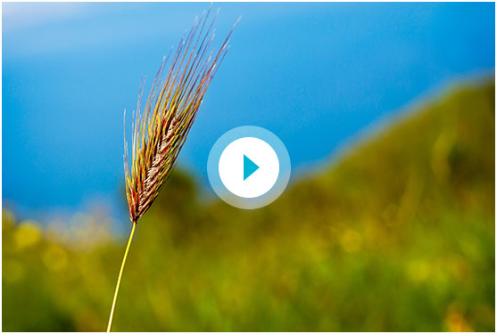 溧陽市萬正飼料機(jī)械有限公司